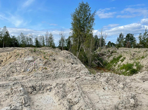 Росприроднадзор по СЗФО проводит проверку по факту размещения отходов в деревне Скотное Ленинградской области